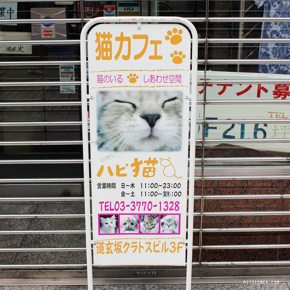 Hapi Neko, Cat cafe in Tokyo