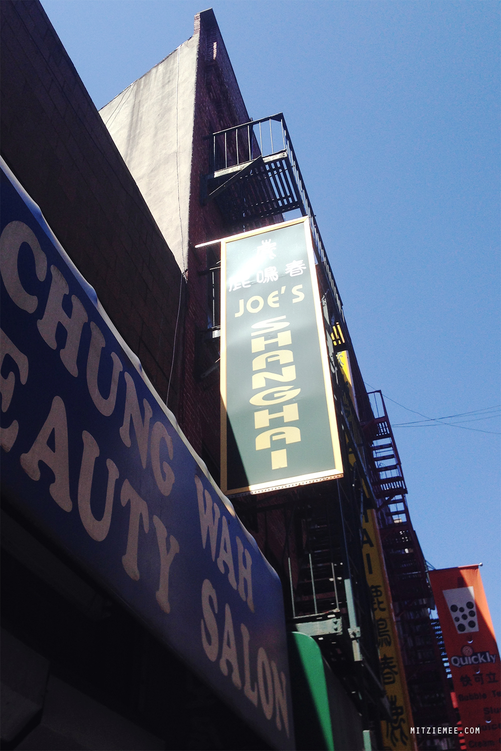 Joe's Shanghai, New York