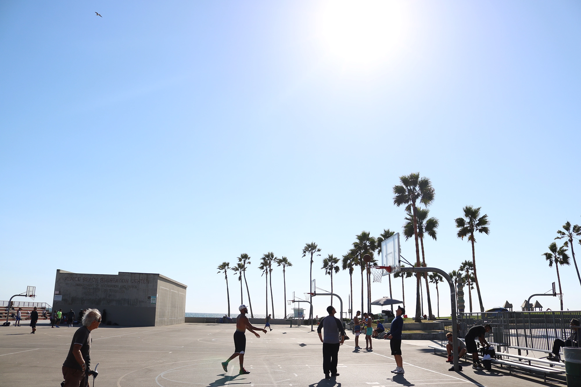Guide to Venice Beach