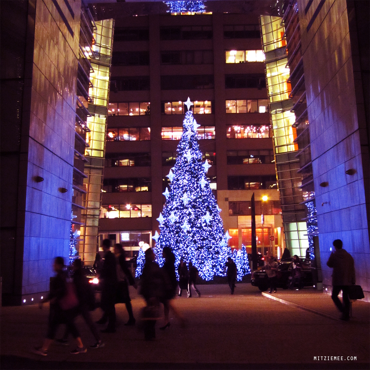 Christmas Tree New York