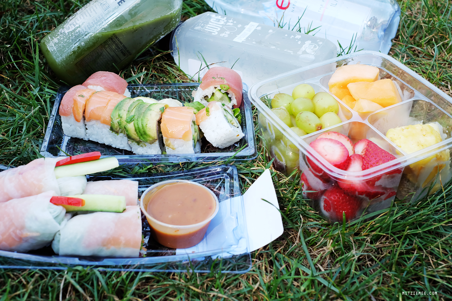 Central Park picnic