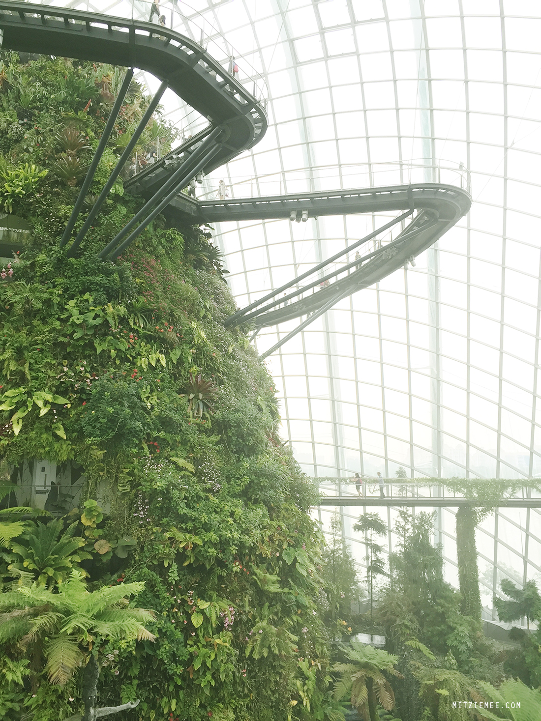 Cloud Forest og Gardens by the Bay, Singapore