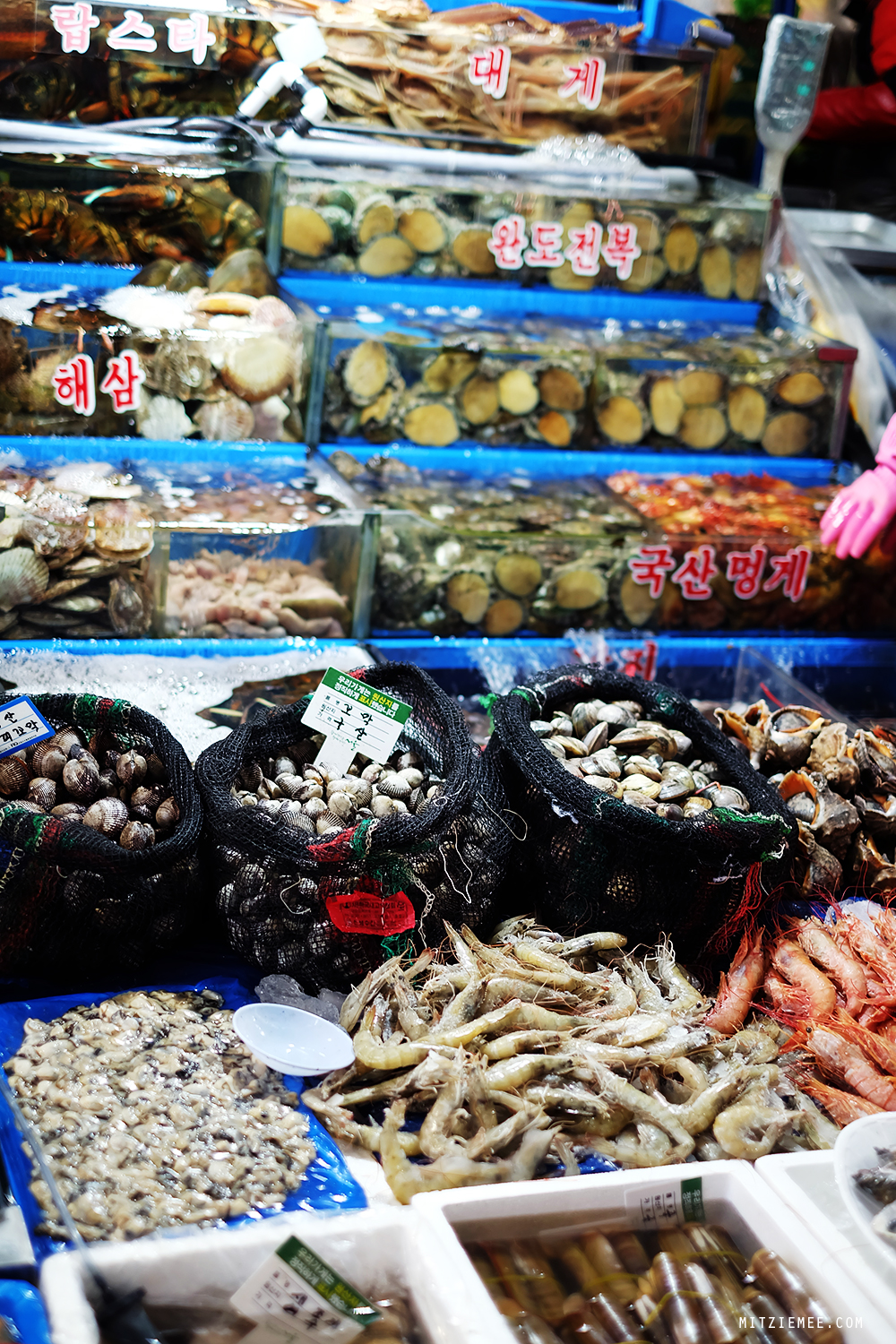Noryangjin Fiskemarked i Seoul