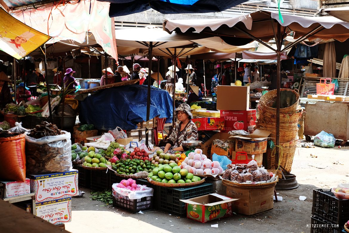 Pleiku Central Market - Vietnam - Travel Blog - Mitzie Mee