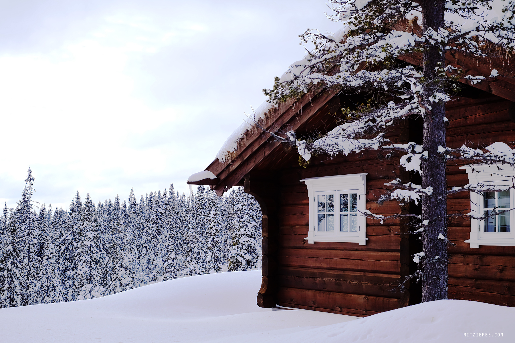 Cabin in Trysil, Norway