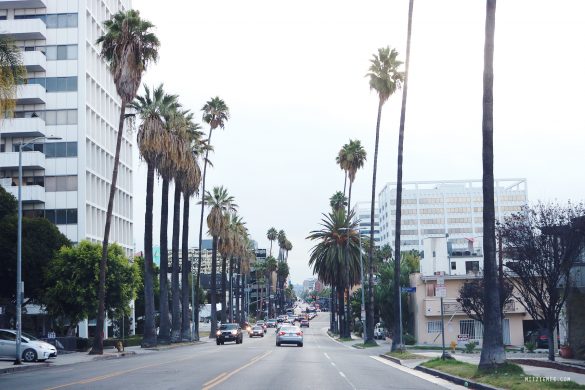 Good morning West Hollywood - Los Angeles Blog - Mitzie Mee