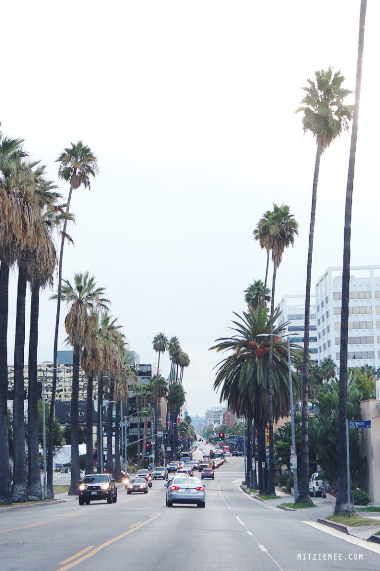 Driving in Los Angeles Rent a car Los Angeles City Guide Mitzie Mee