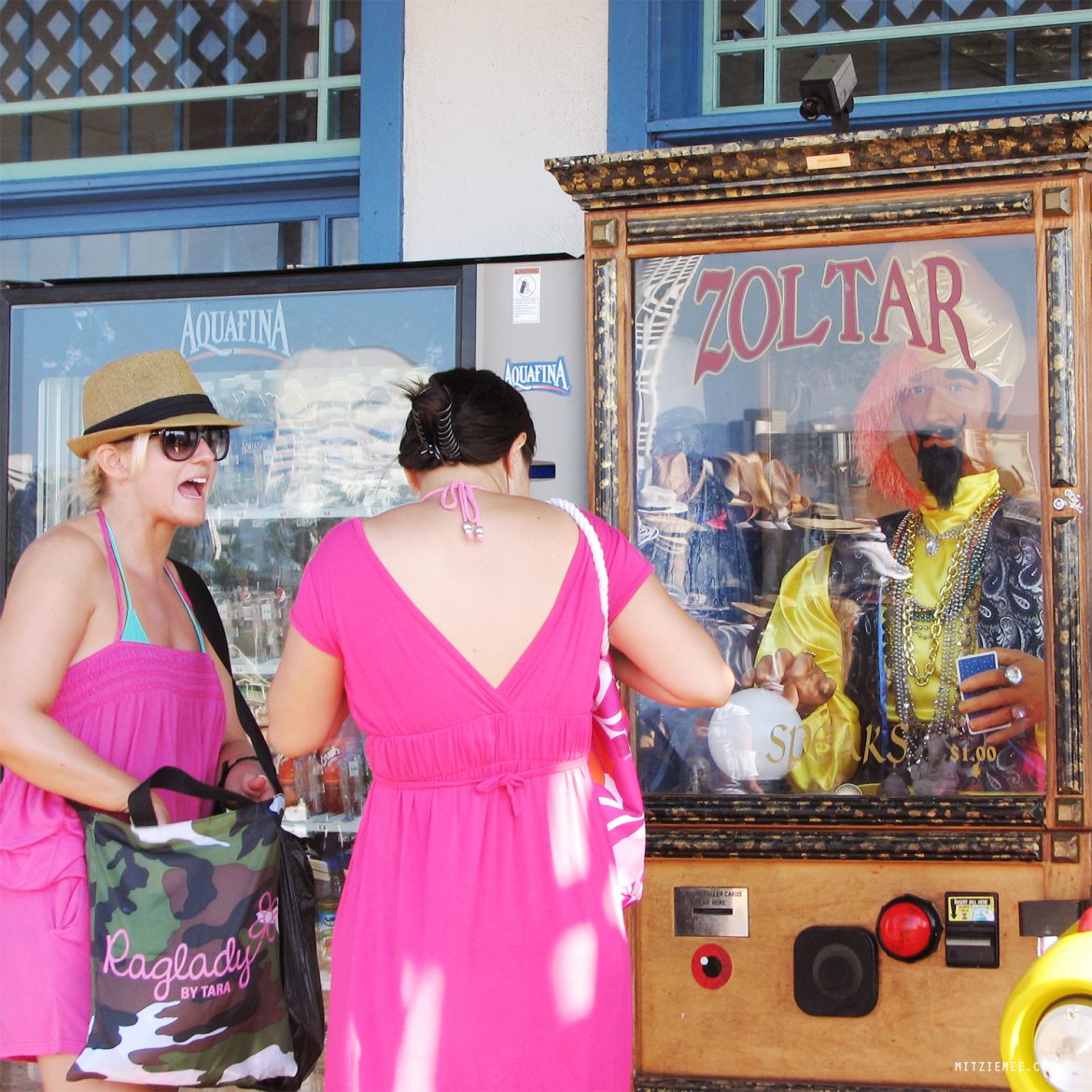 Santa Monica Pier Seagulls and funnel cake Los Angeles Blog