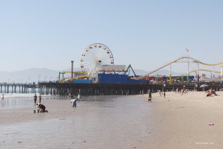 Santa Monica Pier Seagulls and funnel cake Los Angeles Blog
