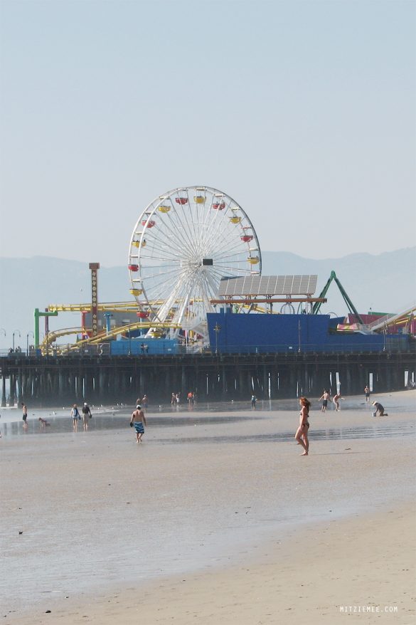 Santa Monica Pier Seagulls and funnel cake Los Angeles Blog