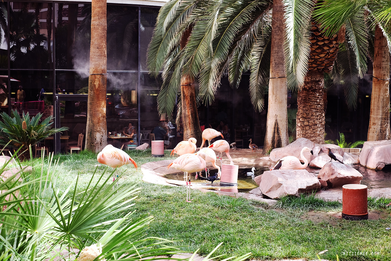 The Wildlife Habitat på Flamingo, Las Vegas