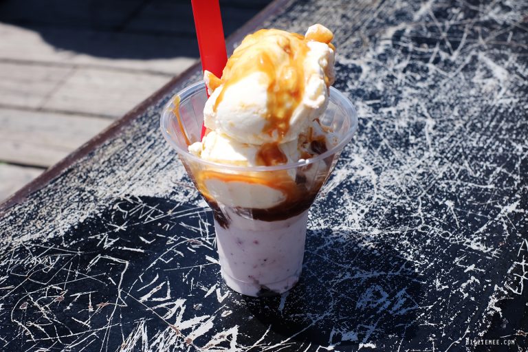 Brooklyn Bridge and Brooklyn Ice Cream Factory New York City Blog