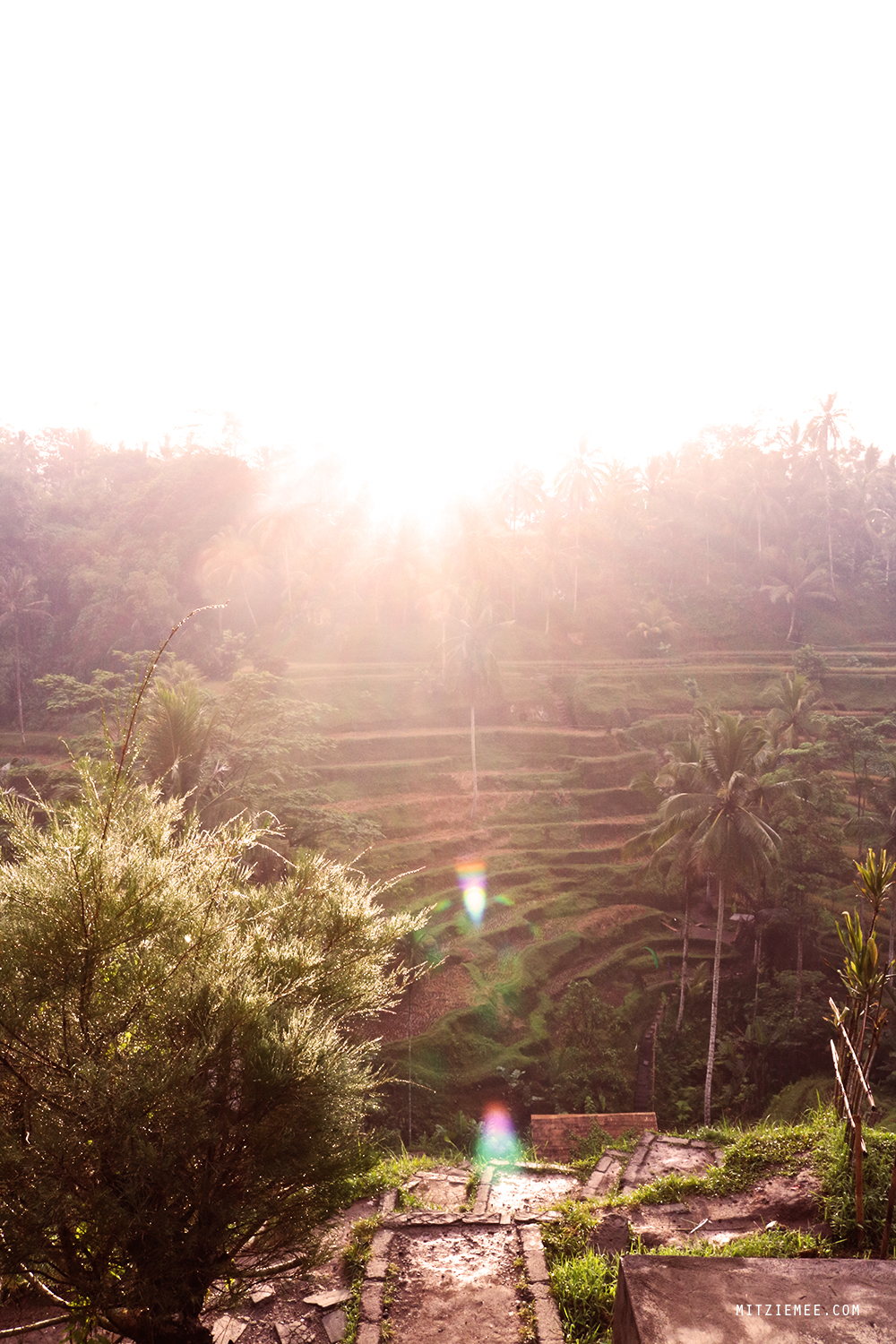 Tegallalang rice terraces, Bali