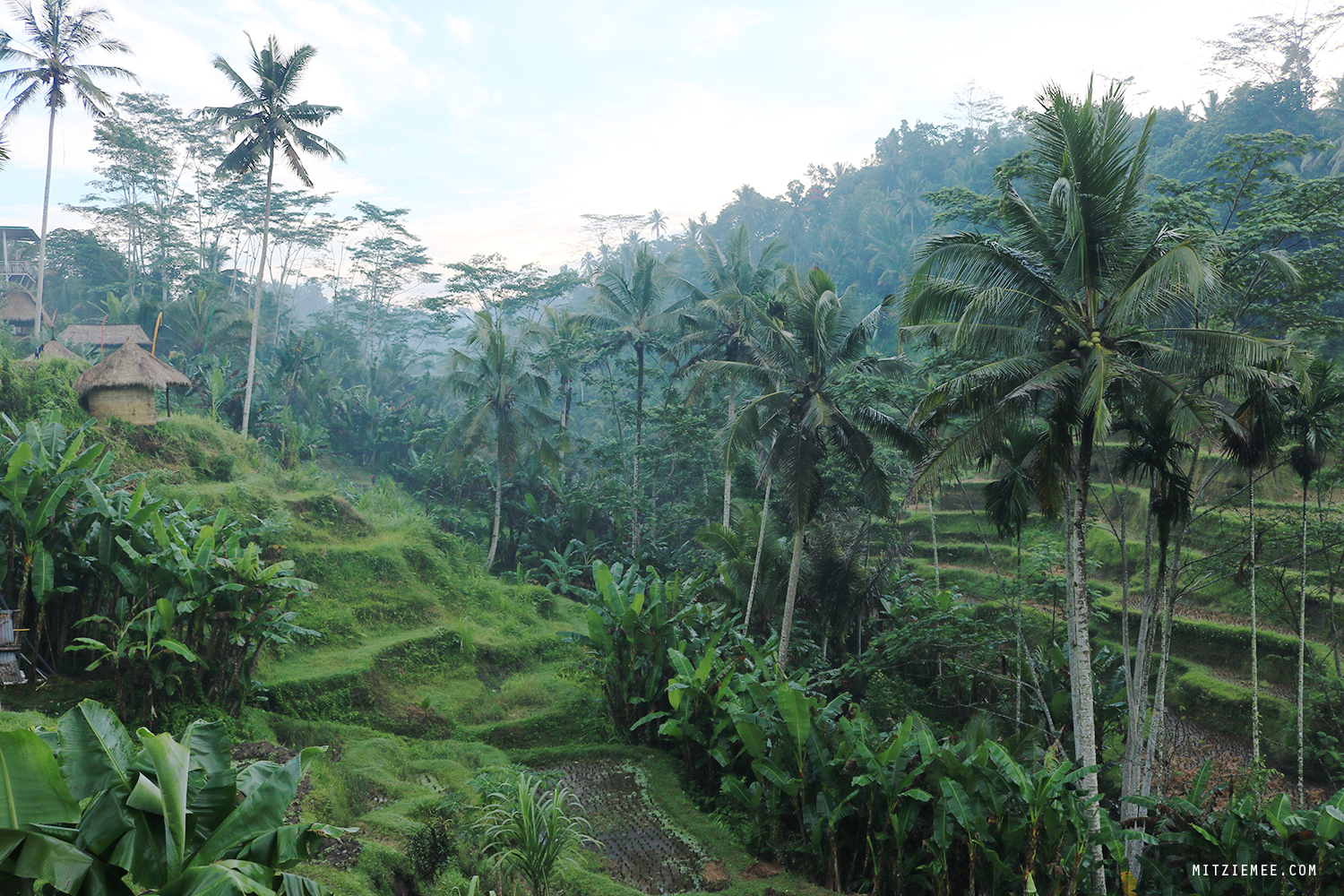 Tegallalang rice terraces, Bali