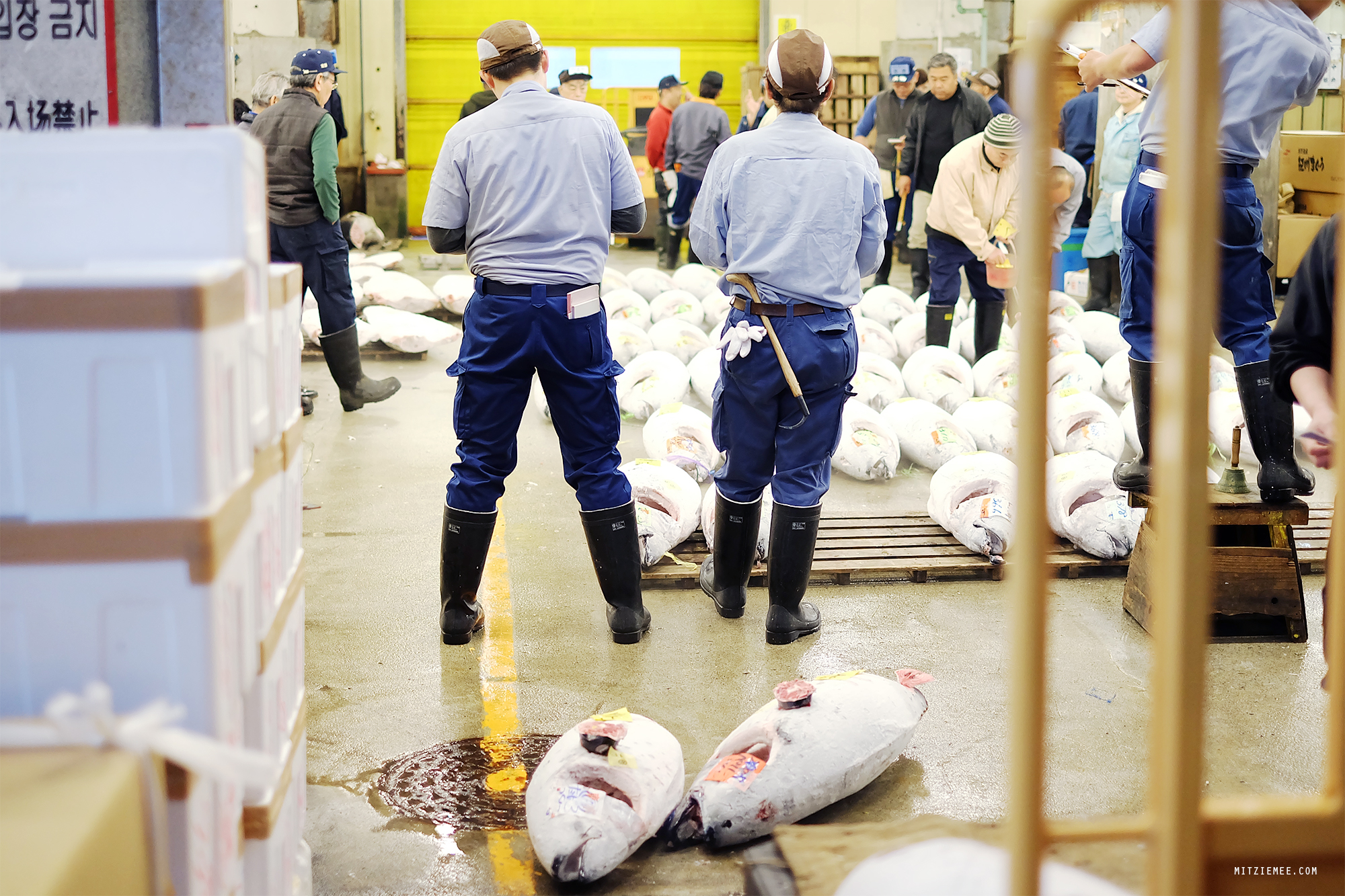 The tuna auction at Tsukiji Fish Market in Tokyo