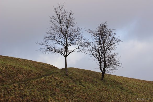 Østerstrand in Fredericia