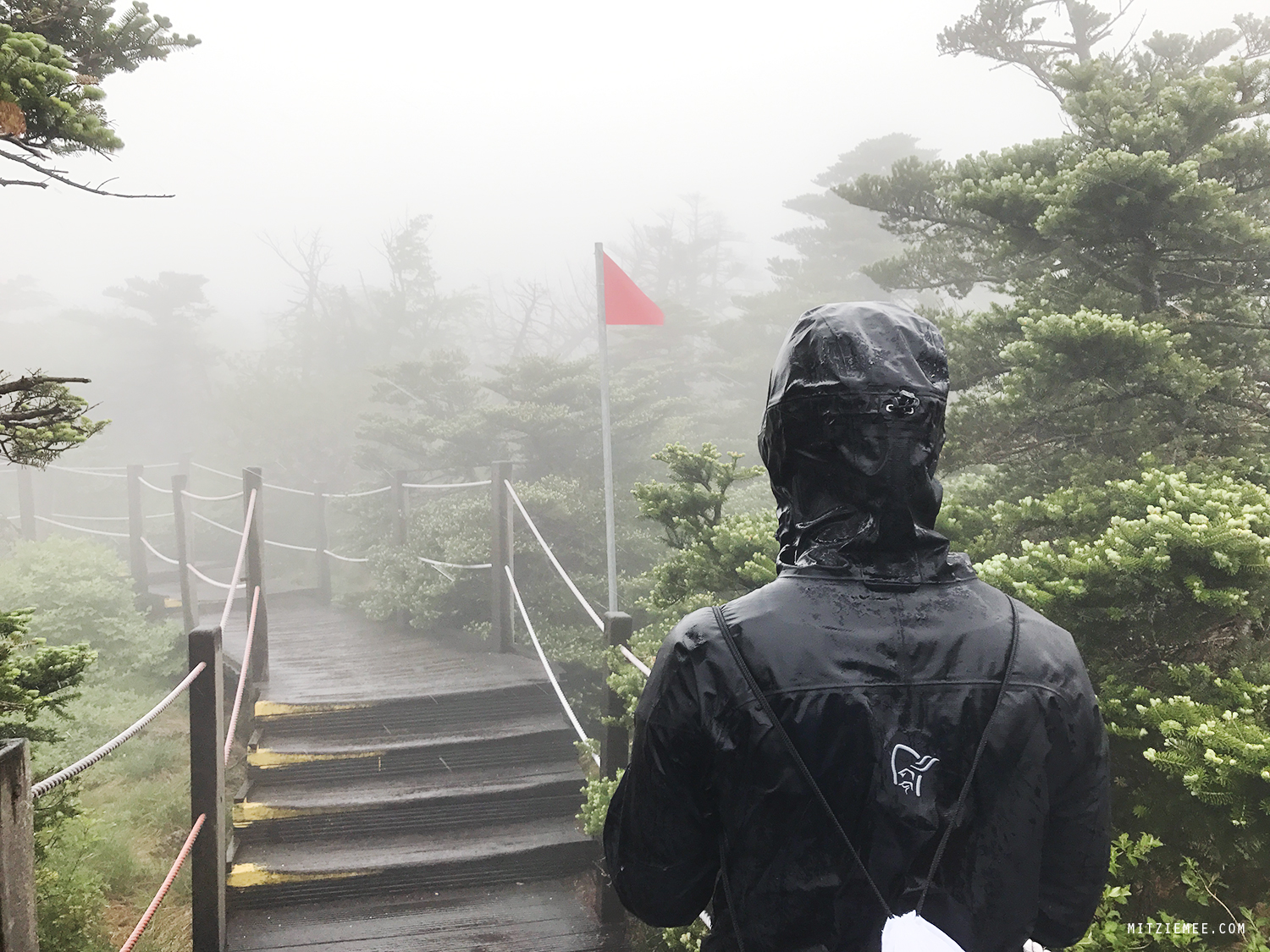 Hallasan mountain hiking, Jeju, South Korea