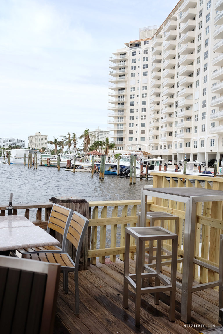 Scoobies at Coconuts Fort Lauderdale Restaurants Fort Lauderdale Blog