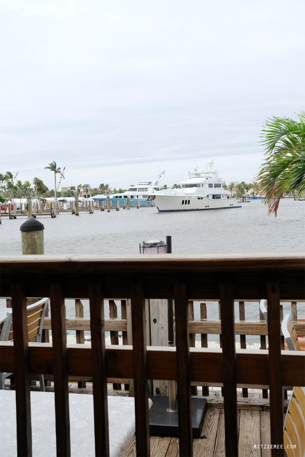 Scoobies at Coconuts Fort Lauderdale Restaurants Fort Lauderdale Blog