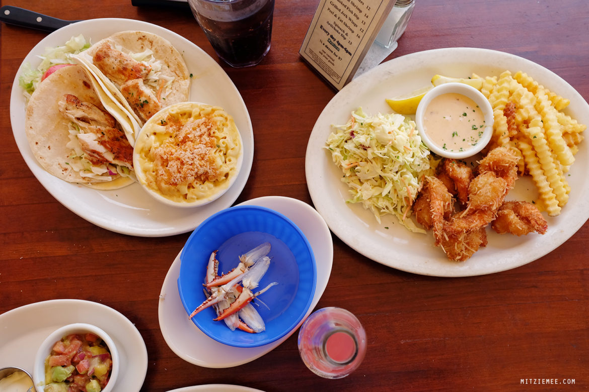 Scoobies at Coconuts Fort Lauderdale Restaurants Fort Lauderdale Blog