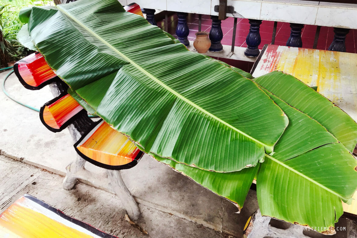 Banana Leaves - Straight from the garden - Mae Sot Blog - Mitzie Mee