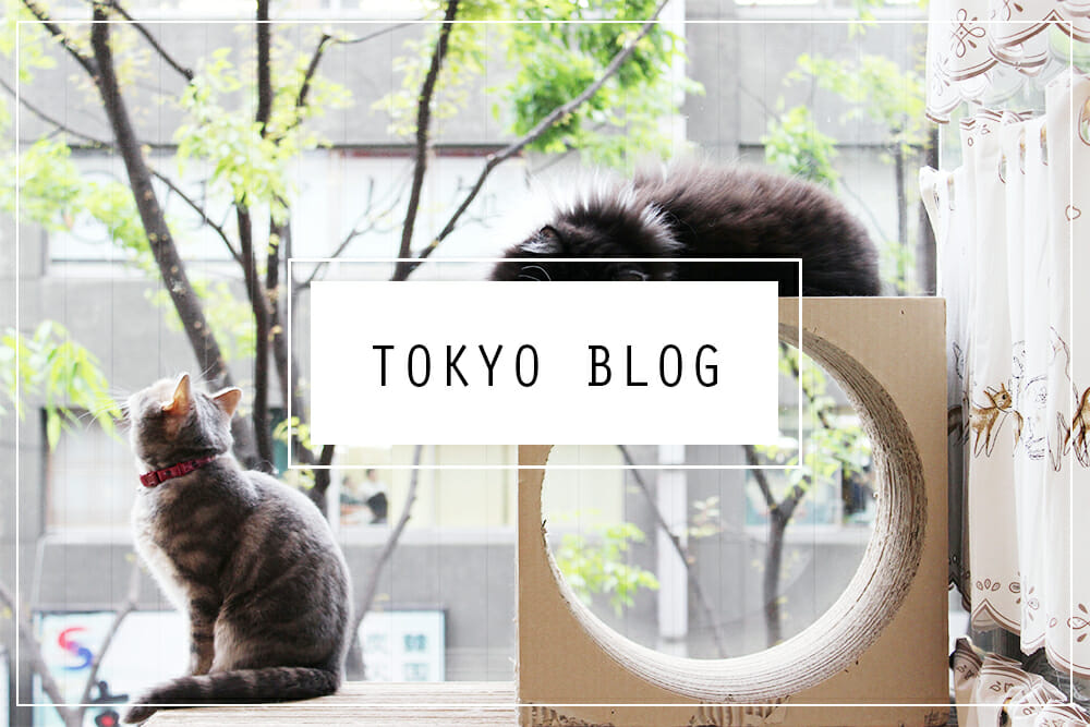 Tokyo Food Blog Your Ultimate Guide to Deliciousness in Japan!