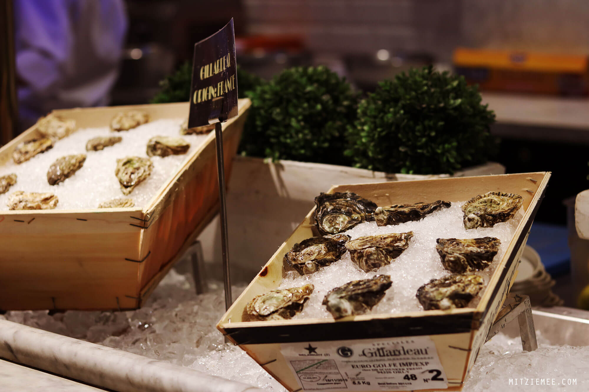 Oysters, Café Belge