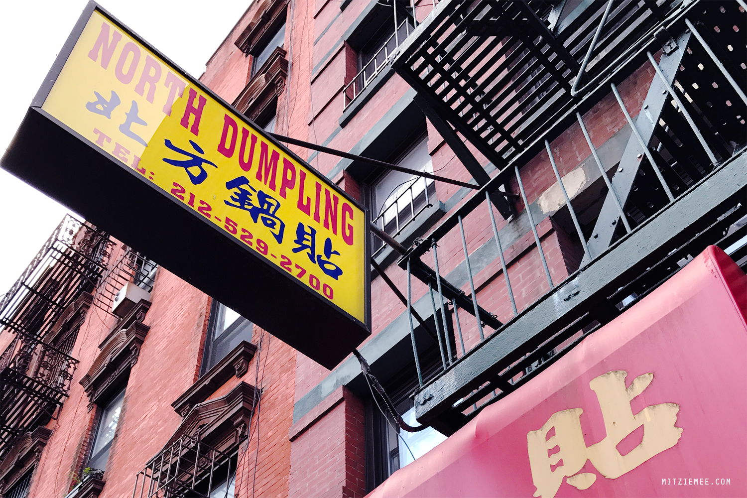 North Dumpling, NYC