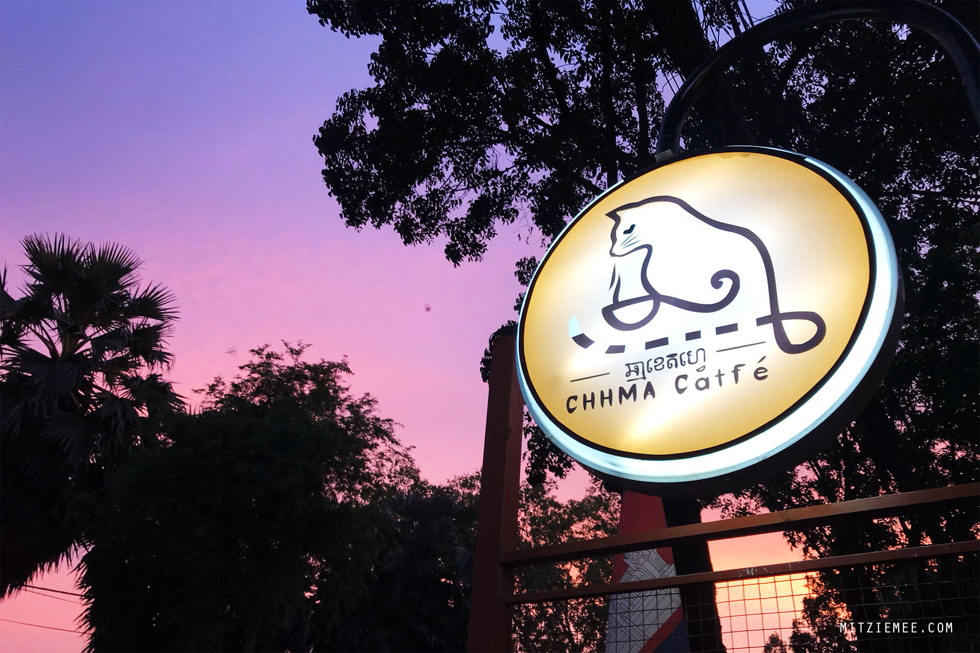 Chhma Catfé, cat cafe in Phnom Penh