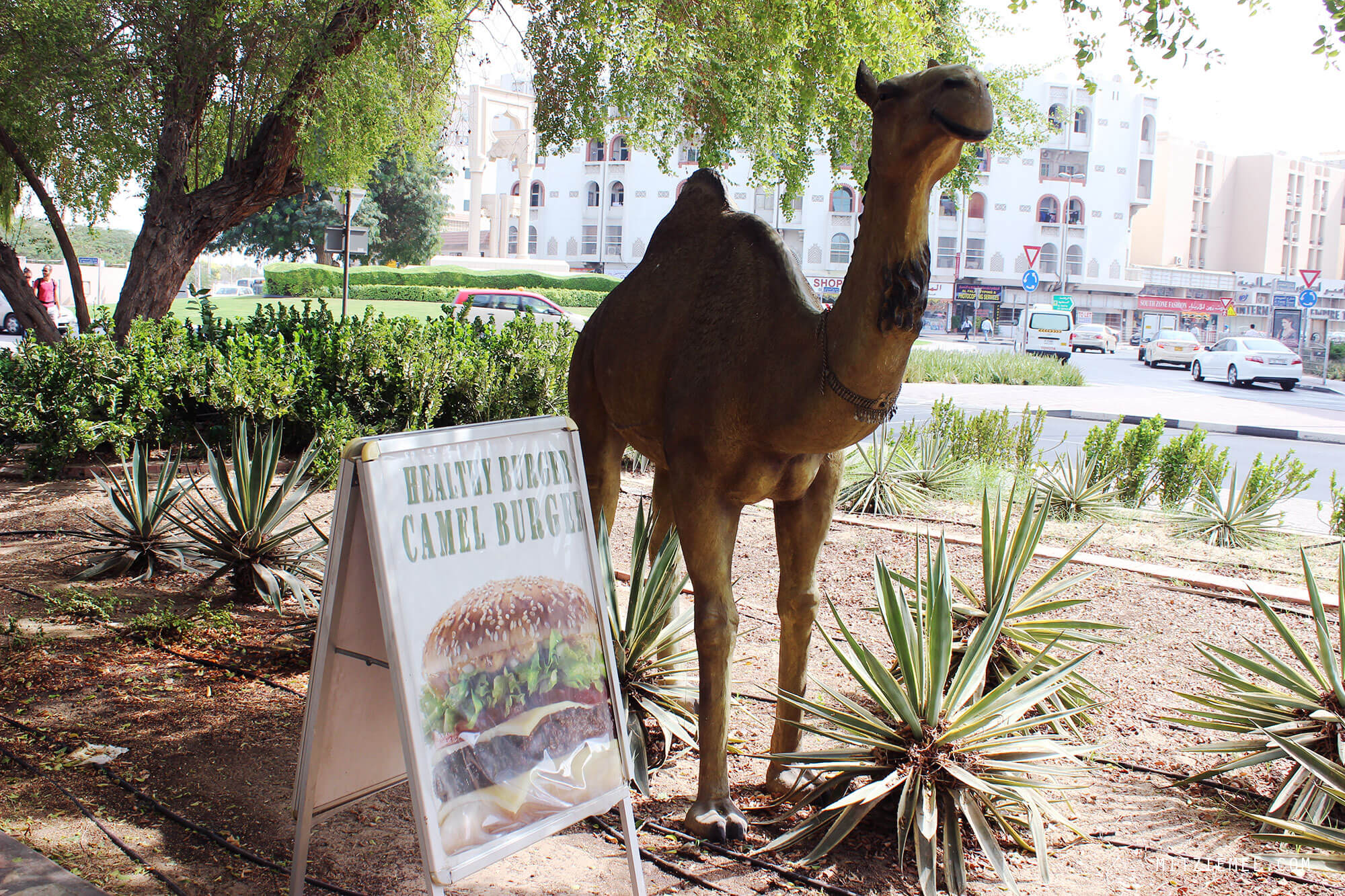 Camel Burger restaurant in Dubai