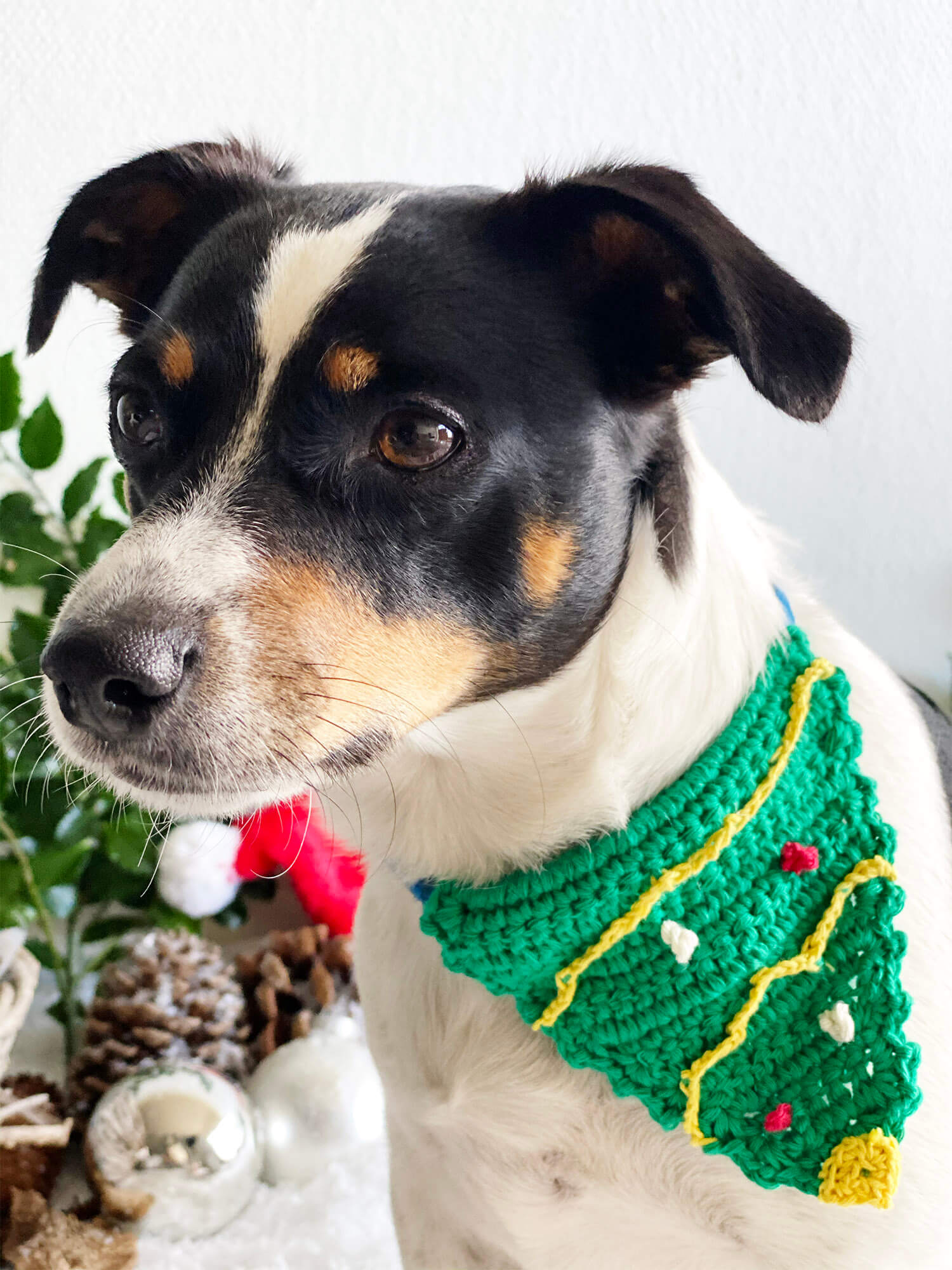 Holiday season dog bandanas