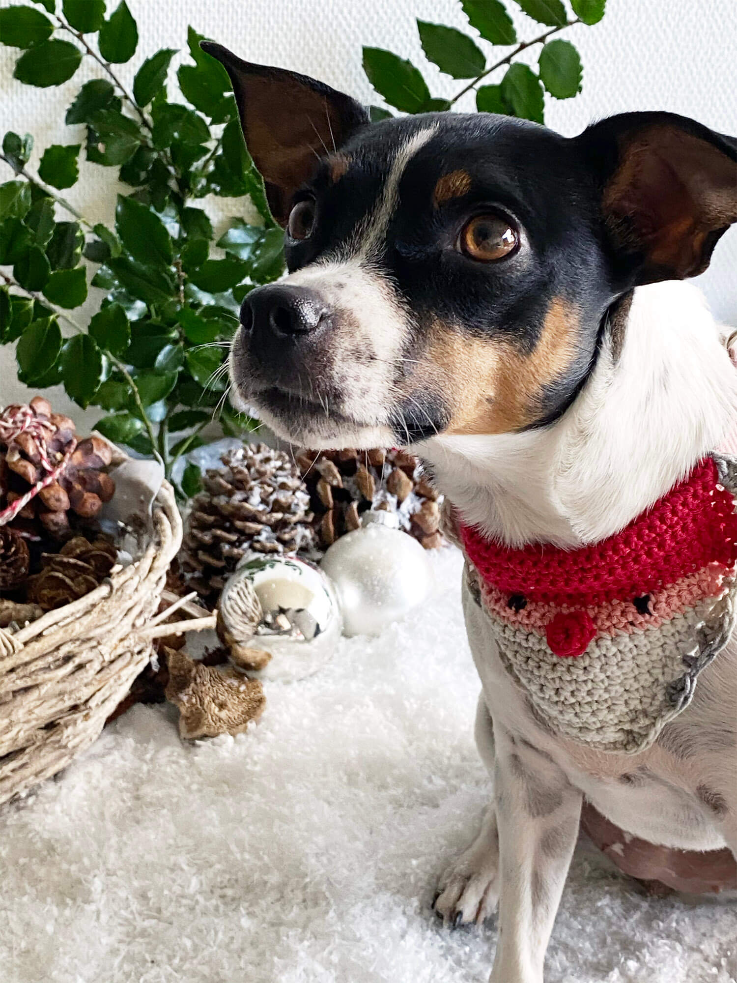 Holiday season dog bandanas