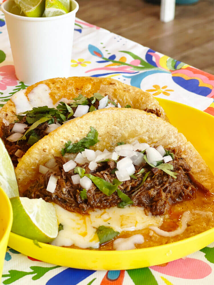 Chofi Taco in Union City Trying birria tacos for the first time