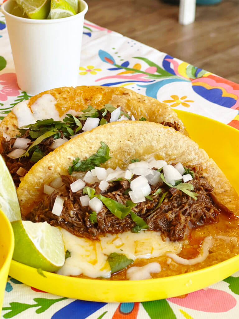 Chofi Taco in Union City Trying birria tacos for the first time