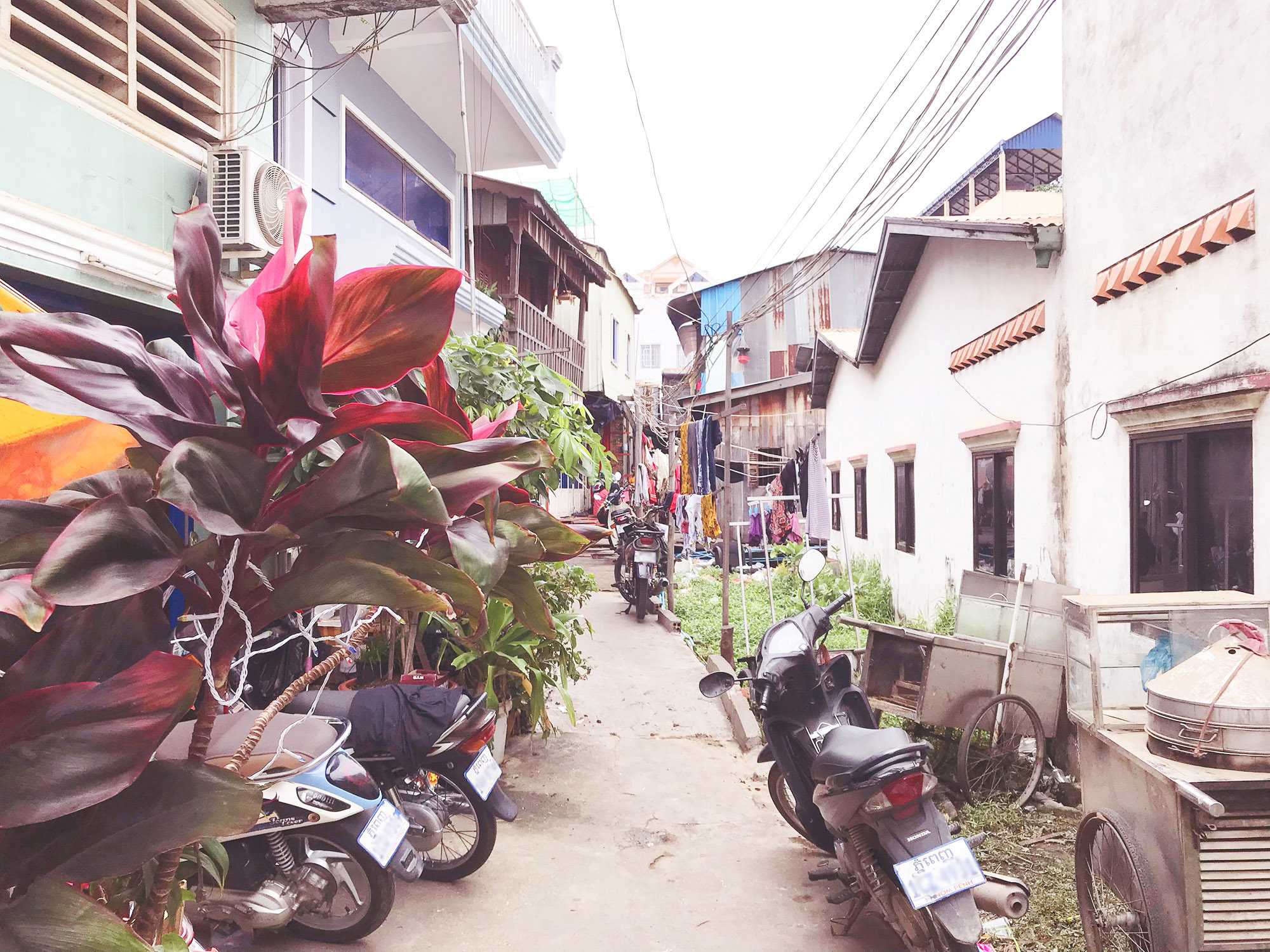 Phnom Penh: A cozy Sunday afternoon - Visiting Yary from CWSG