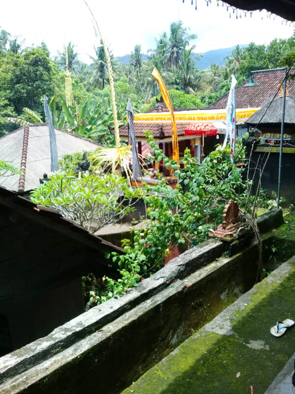 Nyemo Bali