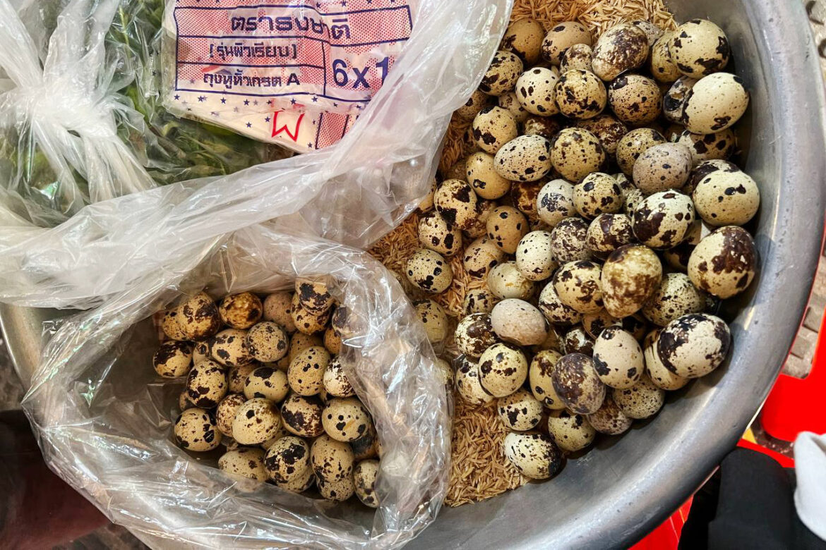 Quail Eggs Hard boiled or Balut Phnom Penh Street Food