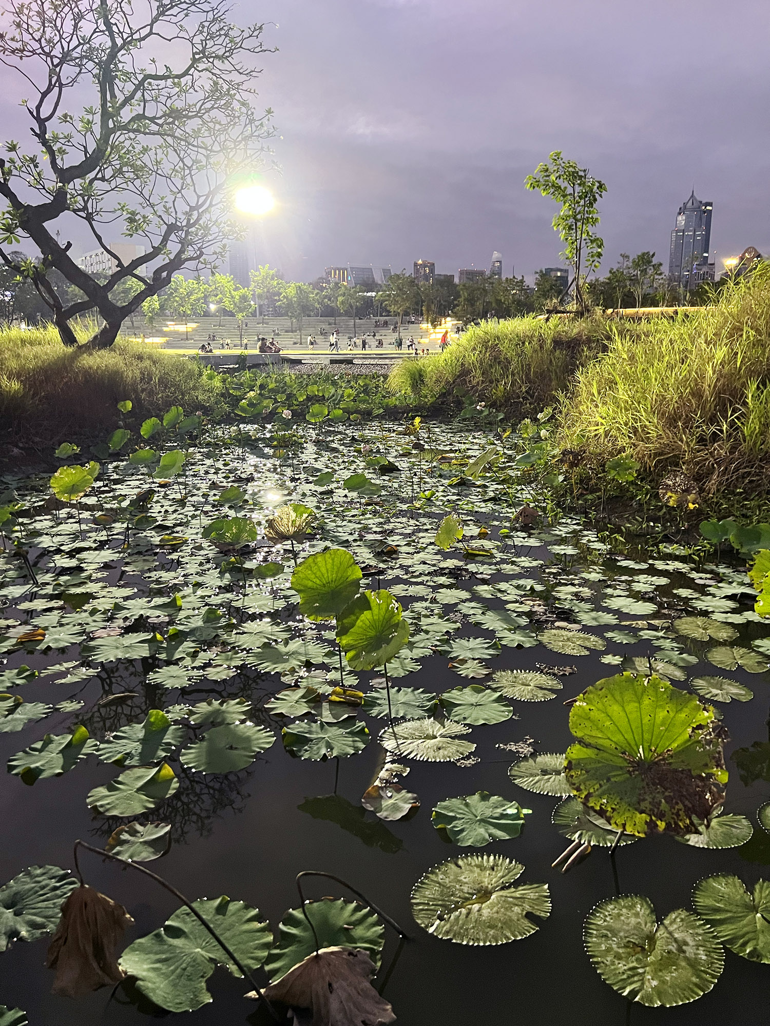 Bangkok: Benchakitti Forest Park - A green oasis in the city