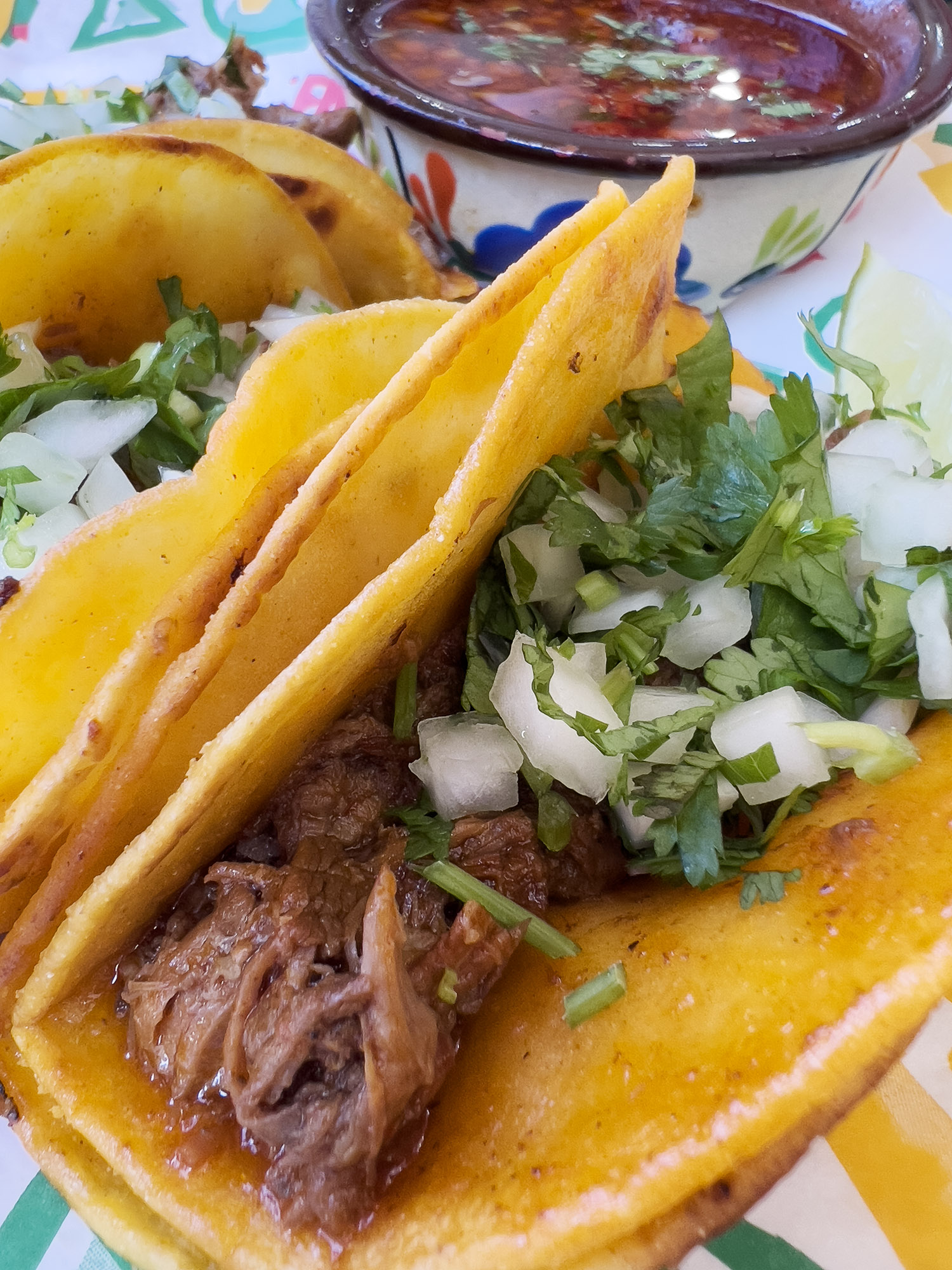Homemade Taqueria - Nice Birria Tacos in New York - NYC Blog