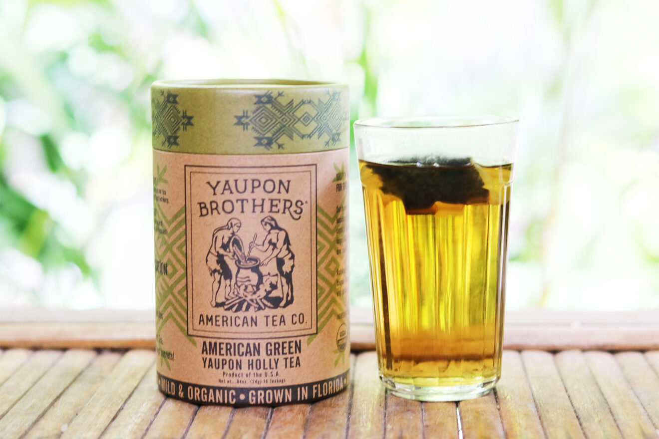 Discovering Yaupon Holly Tea - A Native American Tea with a Modern Twist