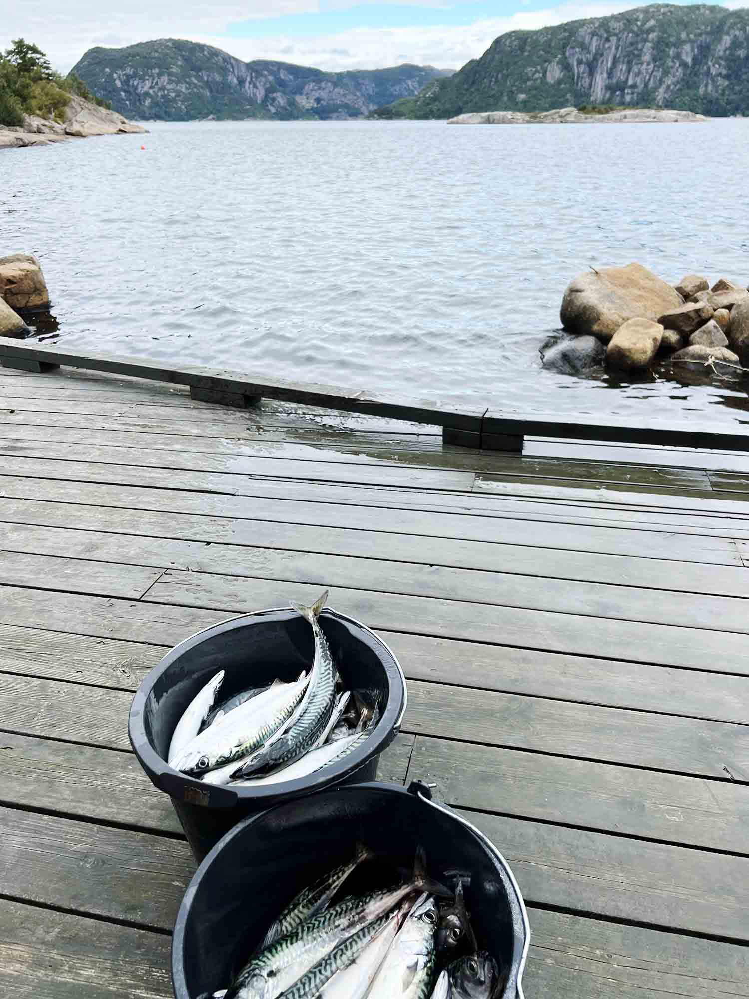 Norway: Gone fishing in Farsund