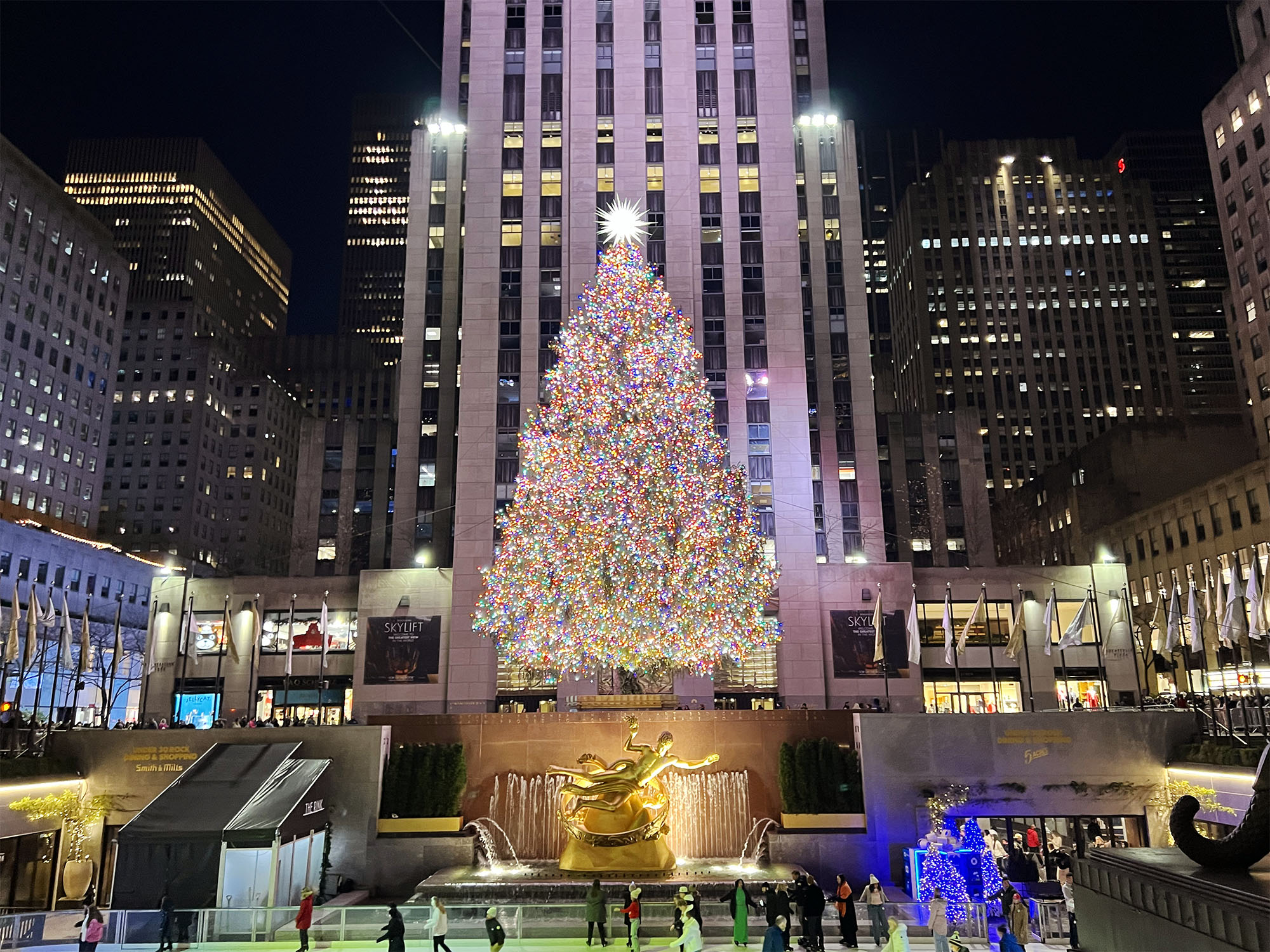 NYC: The Christmas Tree at Rockefeller Center