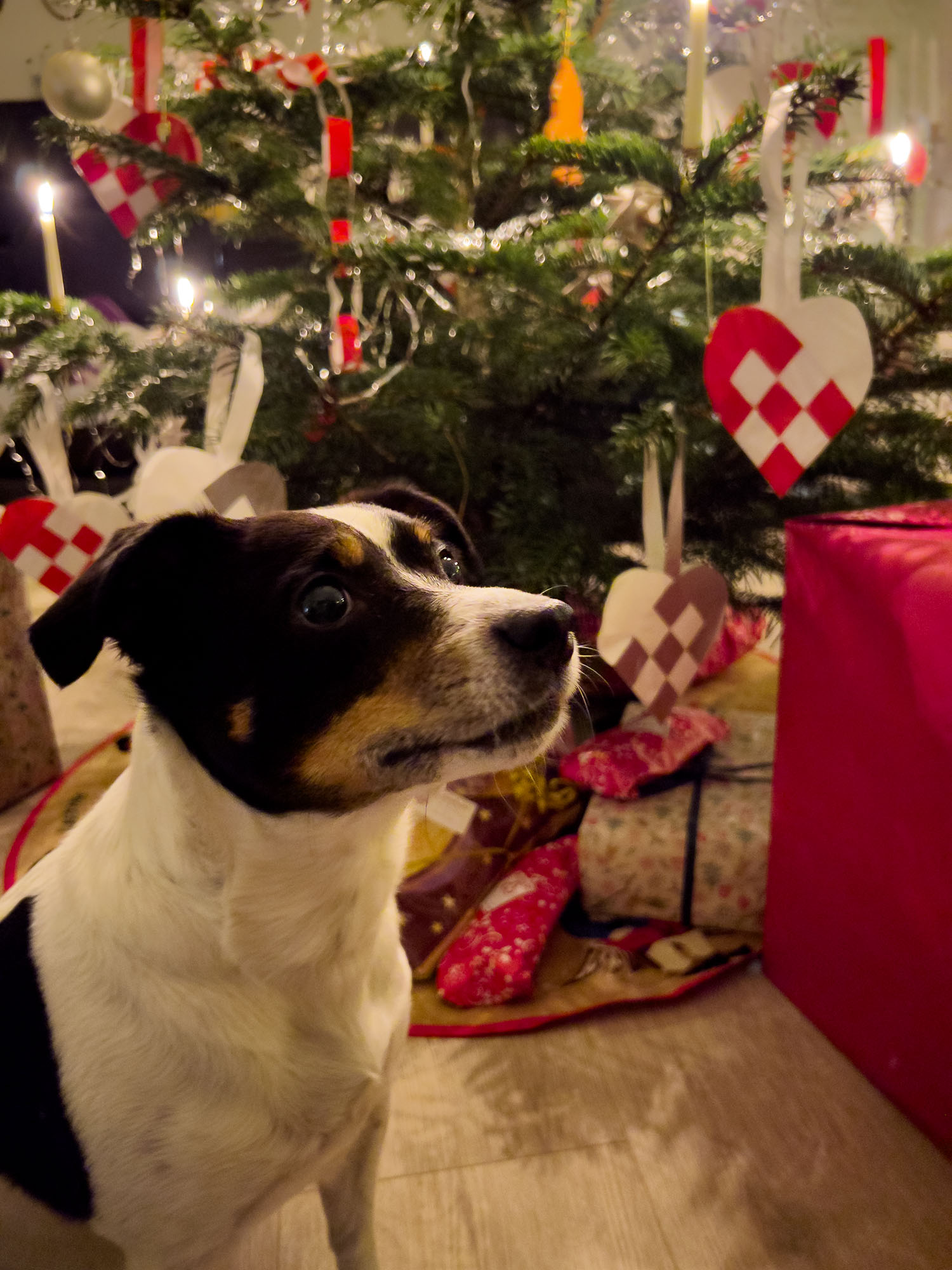 Denmark: How my family celebrates Christmas Eve