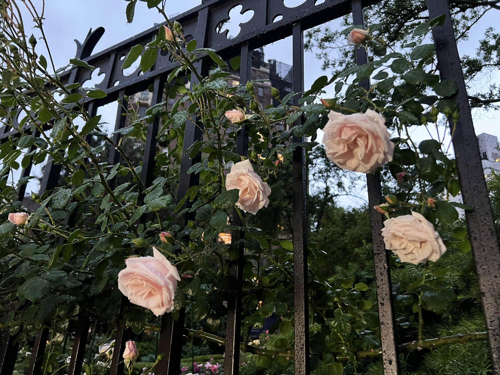 New York: Ghost Stories in Greenwich Village