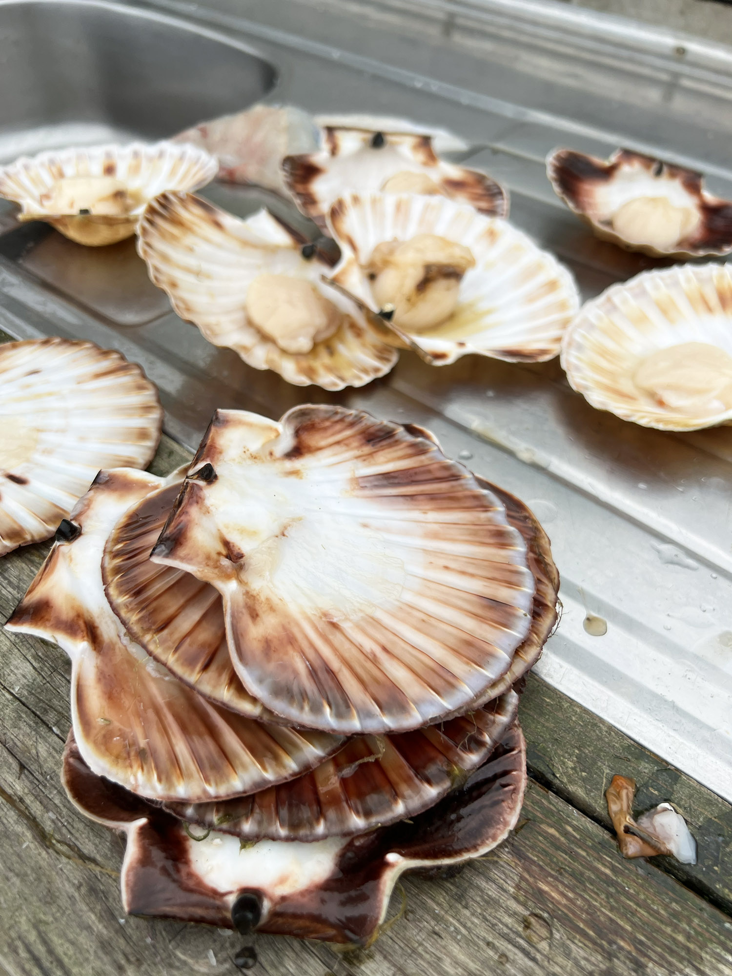 Farsund Blog