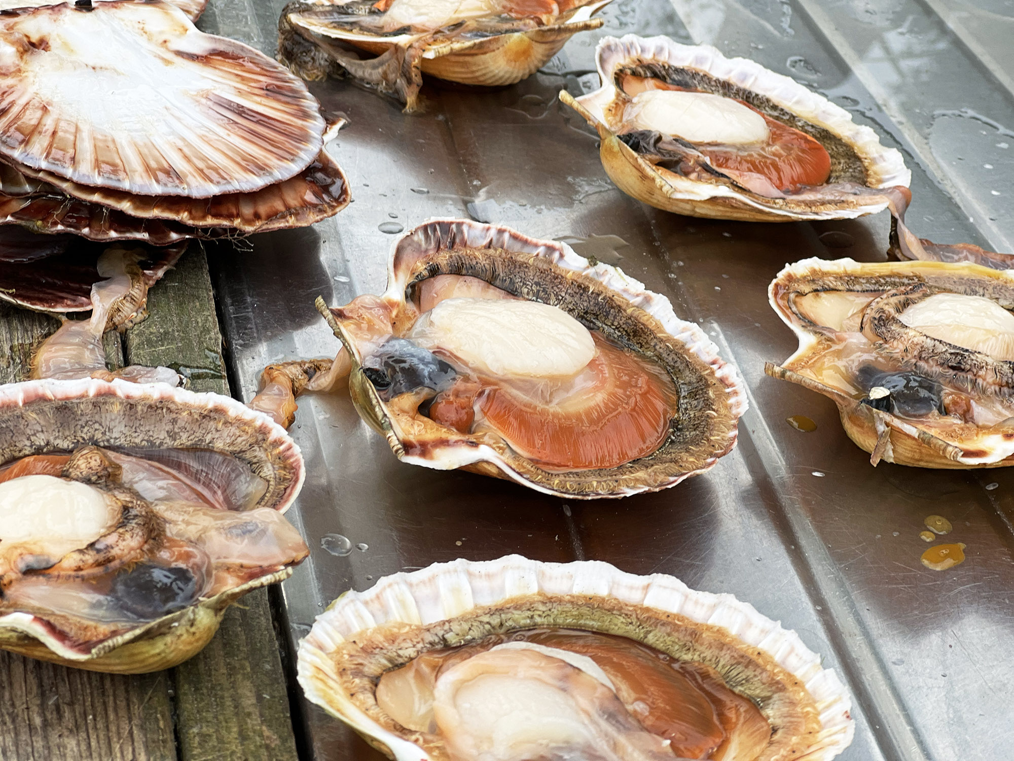 Farsund Blog