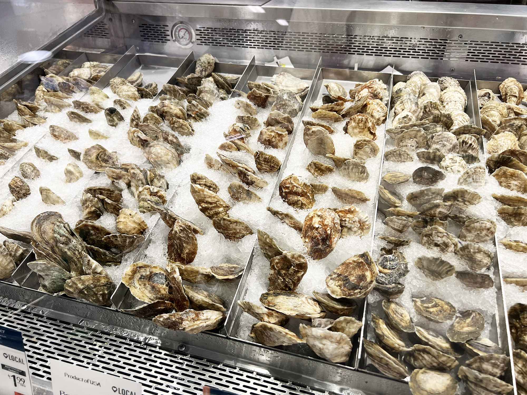 Oysters Whole Foods