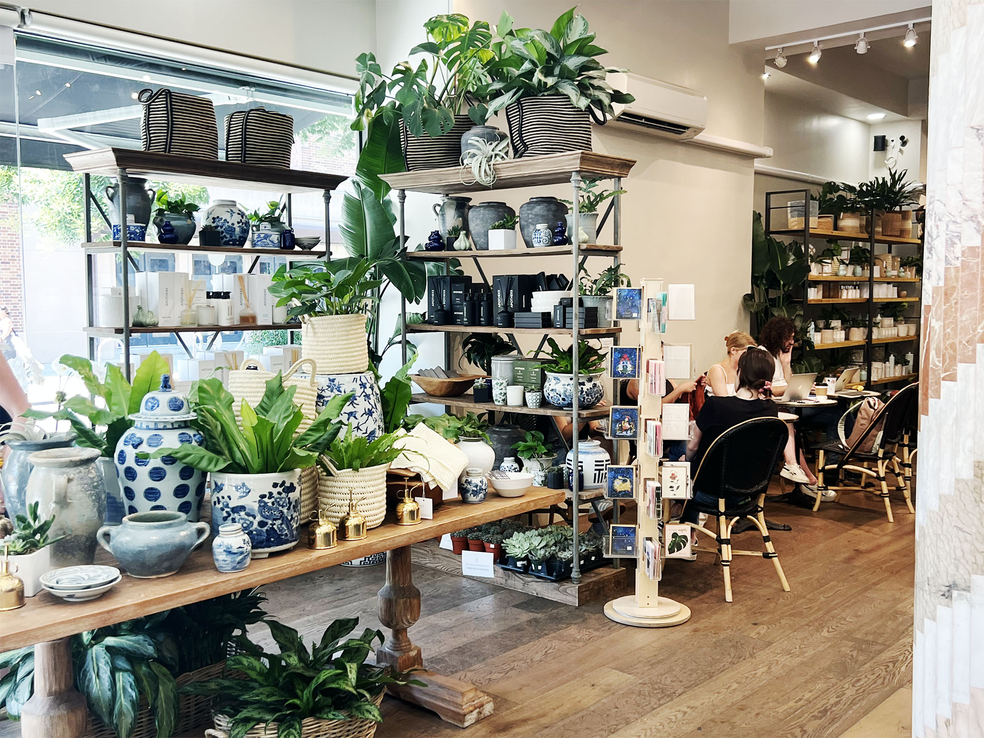 NYC: Plantshed - Matcha, Portraits and a Green Escape