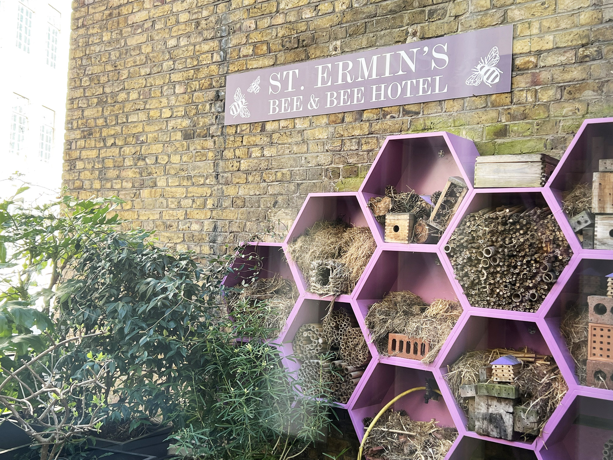 London: A Wonderful Stay at St. Ermin’s Hotel