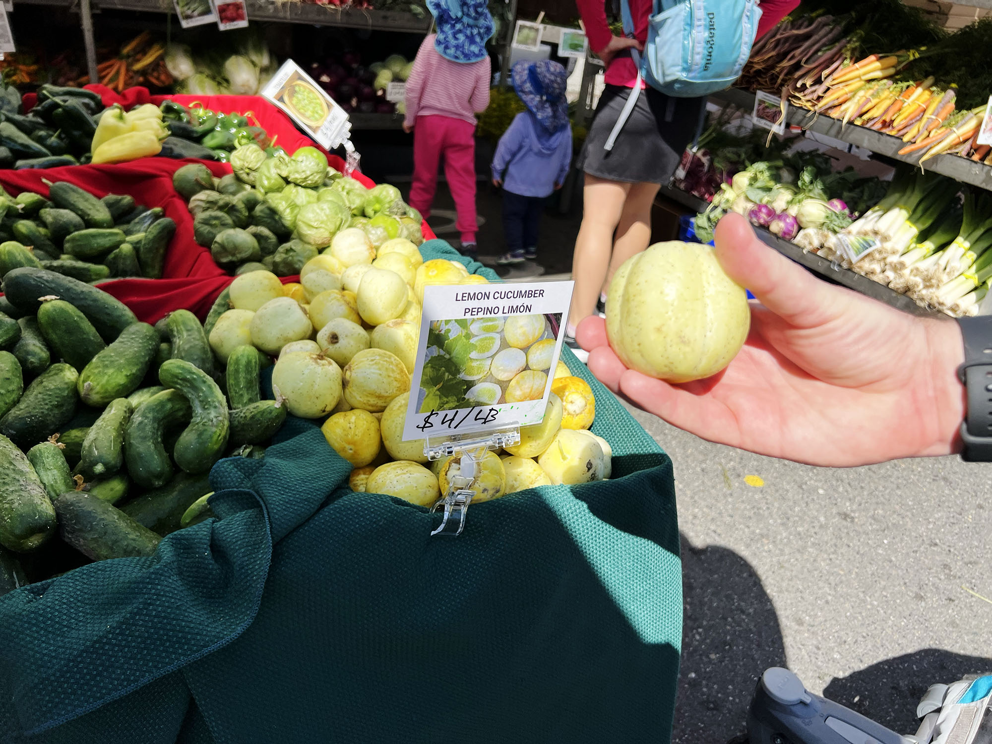 Seattle: Lemon Cucumbers, Fresh from the Market